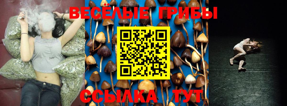 Ярославль  Галлюциногенные грибы Psilocybe  Псилоцибиновые грибы мицелий  Вход с VPN 